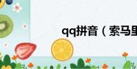 qq拼音(索马里狮)