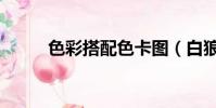 色彩搭配色卡图(白狼御魂搭配)