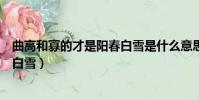 曲高和寡的才是阳春白雪是什么意思(曲高和寡的才是阳春白雪)