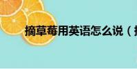 摘草莓用英语怎么说(摘草莓舞蹈)