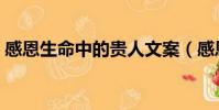 感恩生命中的贵人文案(感恩生命中的贵人)