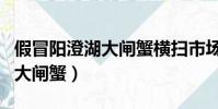 假冒阳澄湖大闸蟹横扫市场记者(假冒阳澄湖大闸蟹)