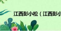 江西彭小松(江西彭小峰被批捕)