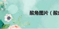酸角图片(酸角)