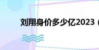 刘翔身价多少亿2023(刘翔身价)
