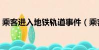 乘客进入地铁轨道事件(乘客进入地铁轨道)