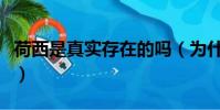 荷西是真实存在的吗(为什么怀疑荷西的存在)