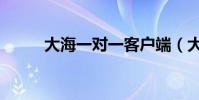 大海一对一客户端(大海一对一)