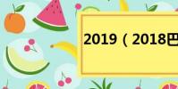 2019(2018巴西)