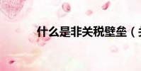 什么是非关税壁垒(关税壁垒)