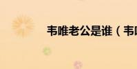 韦唯老公是谁(韦唯老公)