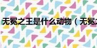 无冕之王是什么动物(无冕之王是什么生肖)