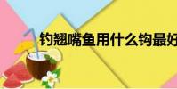 钓翘嘴鱼用什么钩最好(钓翘嘴)