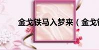 金戈铁马入梦来(金戈铁马下一句)
