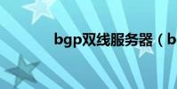 bgp双线服务器(bgp双线)
