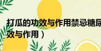 打瓜的功效与作用禁忌糖尿病能吃(打瓜的功效与作用)