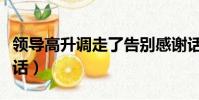 领导高升调走了告别感谢话(领导调走了感恩话)