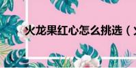 火龙果红心怎么挑选(火龙果红心)
