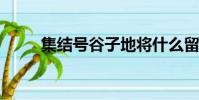 集结号谷子地将什么留在了墓碑下