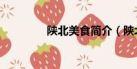 陕北美食简介(陕北美食)