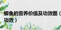 鲫鱼的营养价值及功效图(鲫鱼的营养价值及功效)