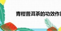 青柑普洱茶的功效作用(青杆)