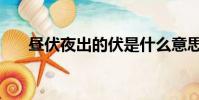 昼伏夜出的伏是什么意思(昼伏夜出)