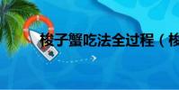 梭子蟹吃法全过程(梭子蟹吃法)