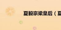 夏毅宗梁皇后(夏毅宗)