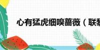 心有猛虎细嗅蔷薇(联黎猛虎2018)
