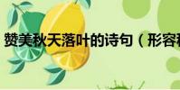赞美秋天落叶的诗句(形容秋天落叶的诗句)