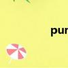 pursuit翻译（pursuit）