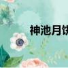 神池月饼的正宗做法（神池月饼）