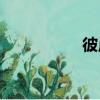 彼岸kara（mr kara）