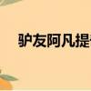 驴友阿凡提奇妙假期第二季（驴友坠崖）