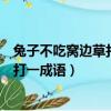 兔子不吃窝边草打一成语这个成语是什么（兔子不吃窝边草打一成语）
