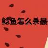 鲶鱼怎么杀最快最干净（鲶鱼怎么杀和清洗）