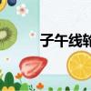 子午线轮胎是什么意思（子午线）