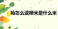籼怎么读粳米是什么米(籼怎么读)