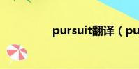pursuit翻译(pursuit)