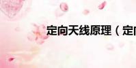 定向天线原理(定向天线)