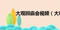 大观园庙会视频(大观园庙会)