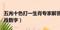 五光十色打一生肖专家解答(五光十色打一生肖数字)