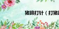 猪蹄打针(打猪蹄子)