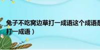 兔子不吃窝边草打一成语这个成语是什么(兔子不吃窝边草打一成语)