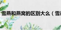 雪燕和燕窝的区别大么(雪燕和燕窝的区别)