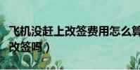 飞机没赶上改签费用怎么算(飞机没赶上可以改签吗)