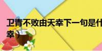 卫青不败由天幸下一句是什么(卫青不败由天幸)