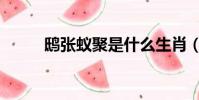 鸱张蚁聚是什么生肖(鸱张蚁聚)