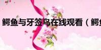 鳄鱼与牙签鸟在线观看(鳄鱼与牙签鸟杀青)